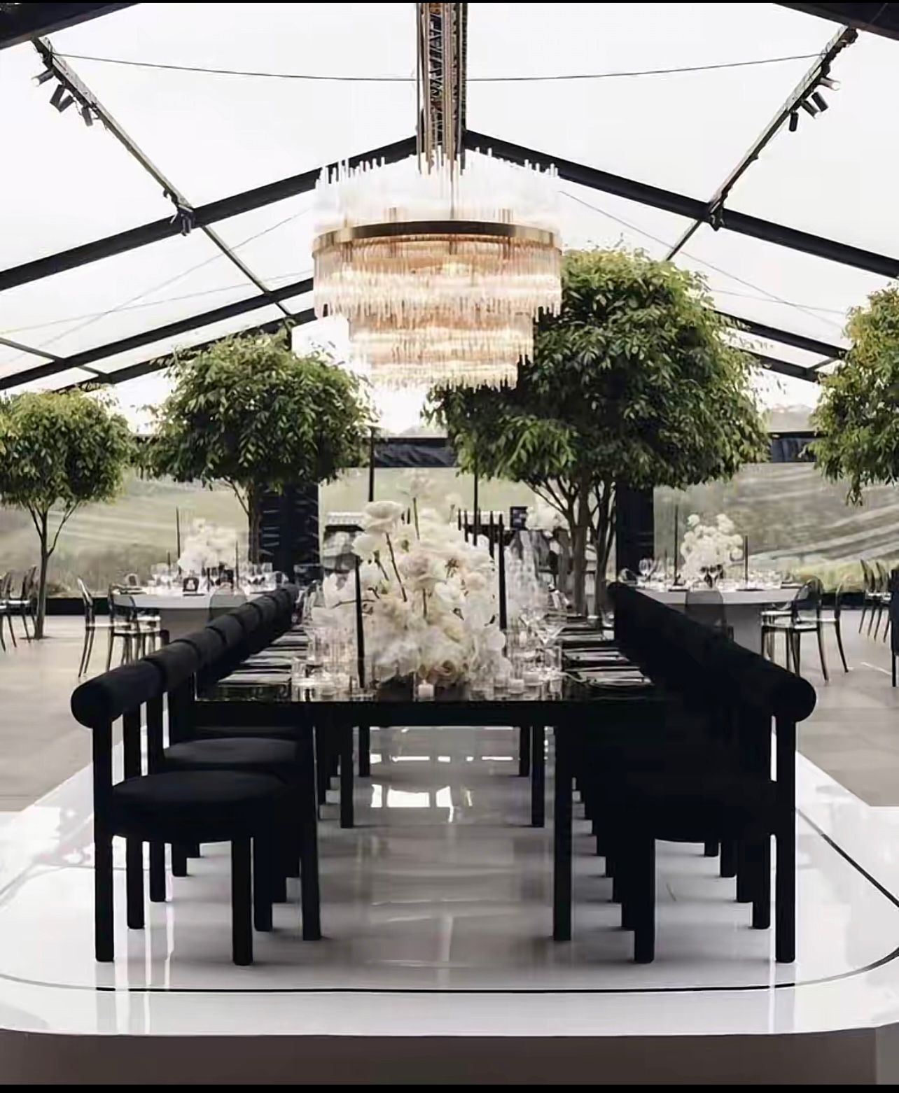 WhatsApp Image 2025-09-08 at 17.06.33(1)