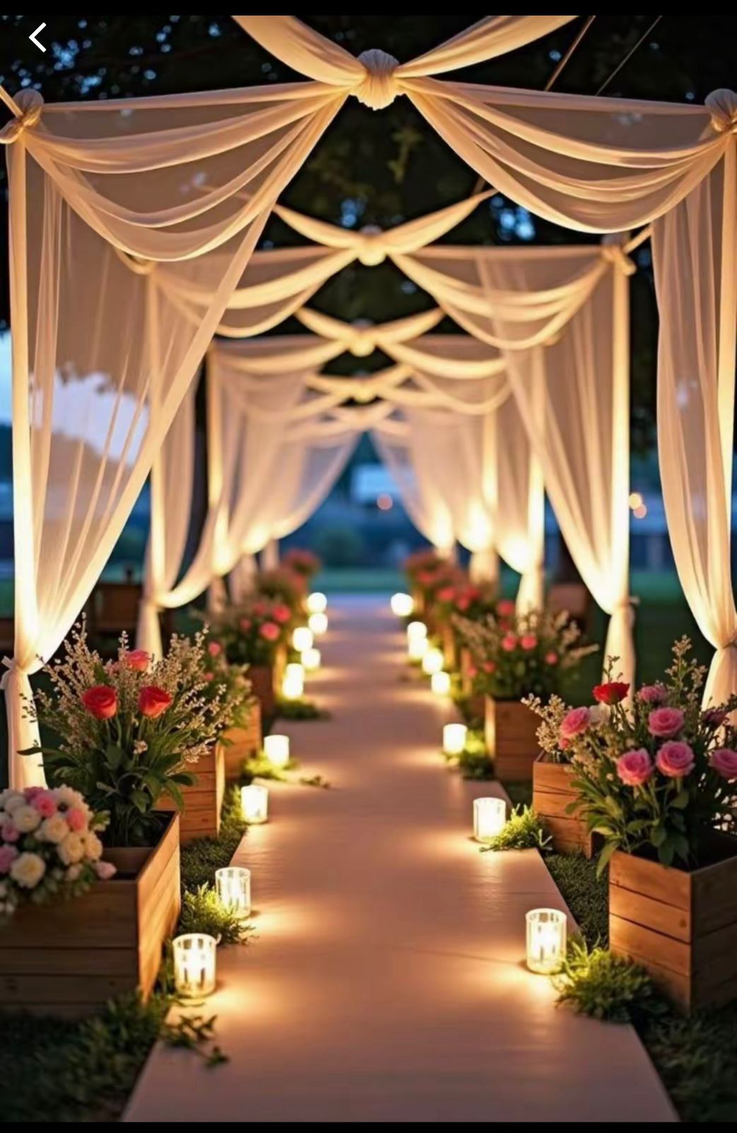 WhatsApp Image 2025-09-08 at 17.06.33(4)