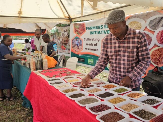 Event Planning, Nairobi, Kiambu, Kenya (14)